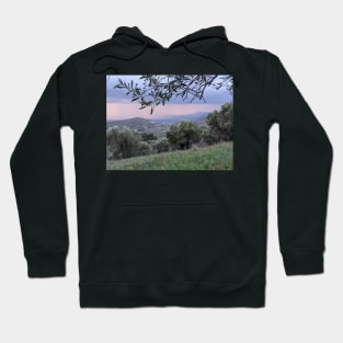 The Coming Rain Hoodie